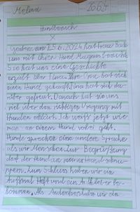 2024-06-26 Hundebesuch_Text1